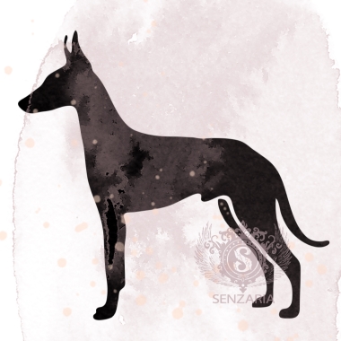 Трафарет - Фараонова собака 1