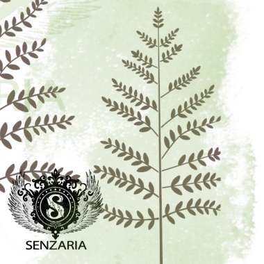 Трафарет - Полевые травы набор